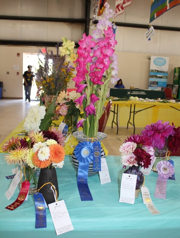 Floraculture Dept. '23 Entries and Ribbon Winners-Taos County Fair-Juan I. Gonzales Agricultural Center-Taos, NM